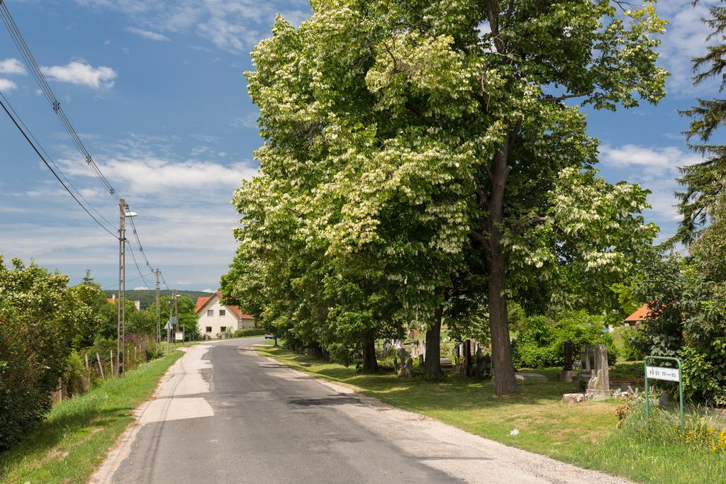 Bordoma Falusi Vendégház Balatonszolos Esterno foto